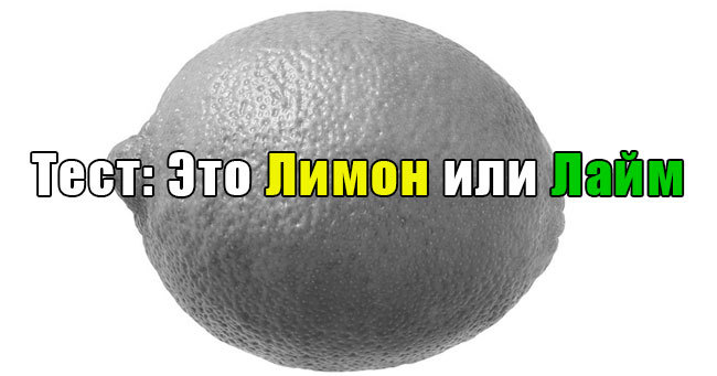 Способны ли вы узнать эти продукты без цвета?