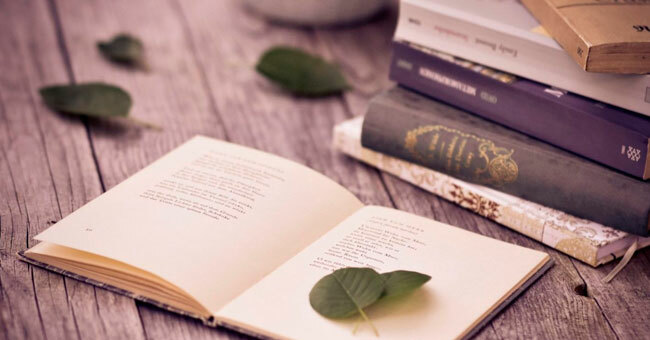 Литературный тест для любителей книг