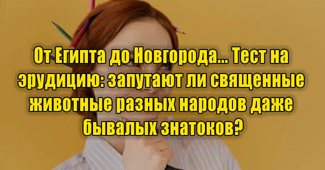 От Египта до Новгорода... Даже бывалые знатоки завалились на этих священных животных разных народов. А вы?