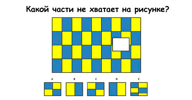 Только 10% людей могут пройти этот тест на внимание и логику