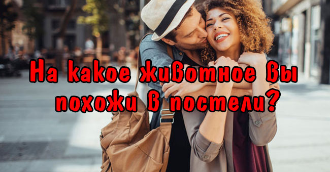 На какое животное вы похожи в постели?