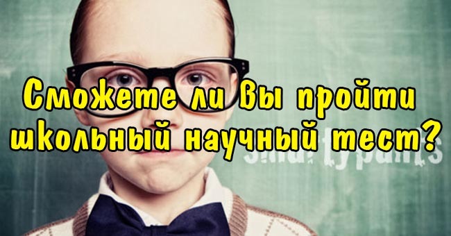 Сможете ли вы пройти школьный научный тест?