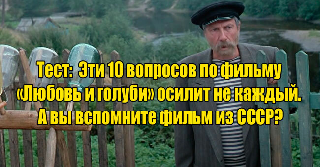 Эти 10 вопросов по фильму «Любовь и голуби» осилит не каждый. А вы вспомните фильм из СССР?