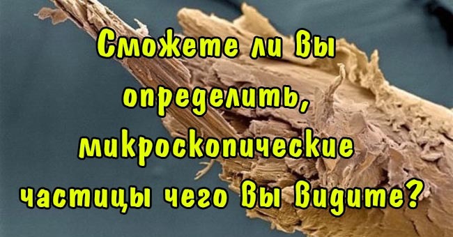 Сможете ли вы определить, микроскопические частицы чего вы видите?