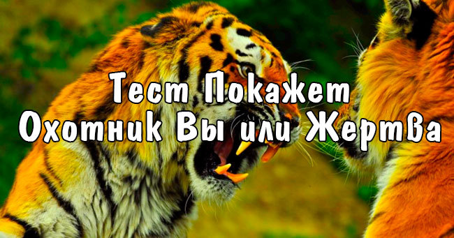 Пройди тест, который покажет Охотник Вы или Жертва