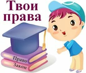 Викторина "Твои права"