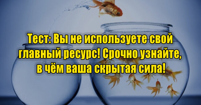 Вы не используете свой главный ресурс! Срочно узнайте, в чём ваша скрытая сила!