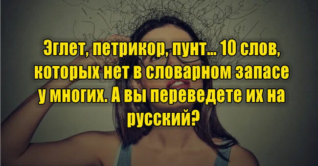Эглет, петрикор, пунт… 10 слов, которых нет в словарном запасе у многих. Переведете их на русский?
