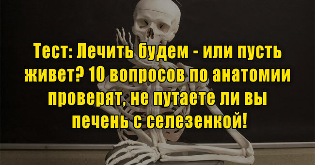 Лечить будем - или пусть живет? 10 вопросов по анатомии проверят, не путаете ли вы печень с селезенкой!