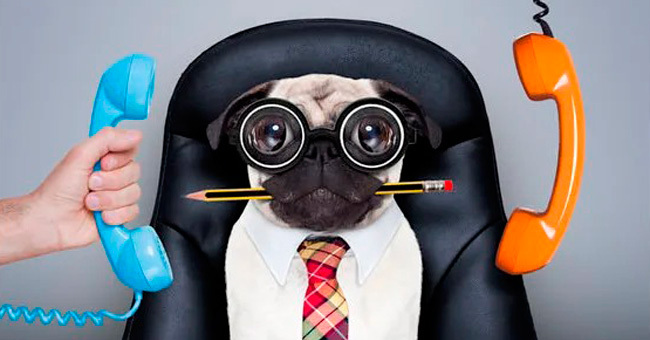 На какой необычной должности Вы могли бы работать?