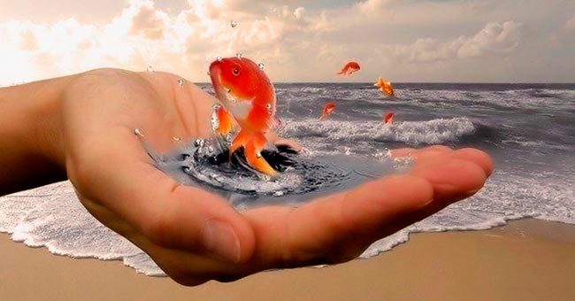 Что Вы знаете о море?