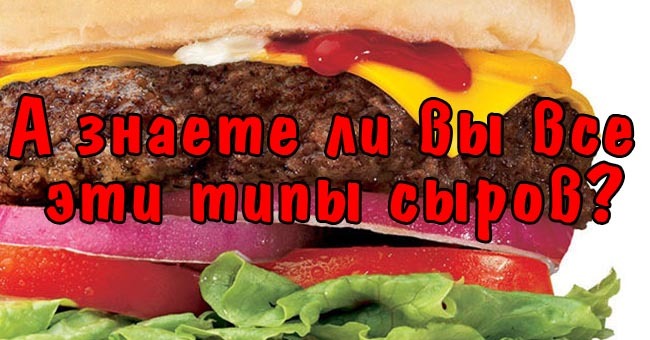 А знаете ли вы все эти типы сыров?