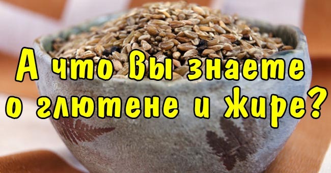 А что вы знаете о глютене и жире?