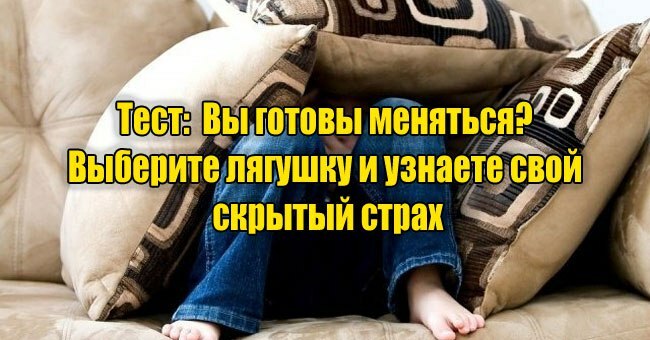 Вы готовы меняться? Выберите лягушку и узнаете про свой скрытый страх