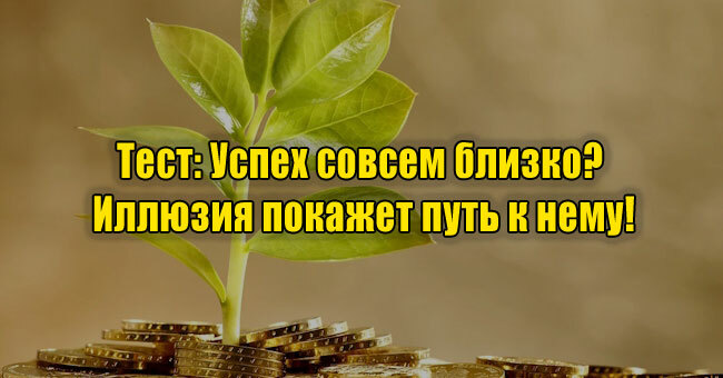 Успех совсем близко? Иллюзия покажет путь к нему!