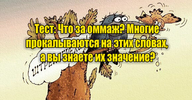 Что за оммаж? Многие прокалываются на этих словах, а вы знаете их значение?