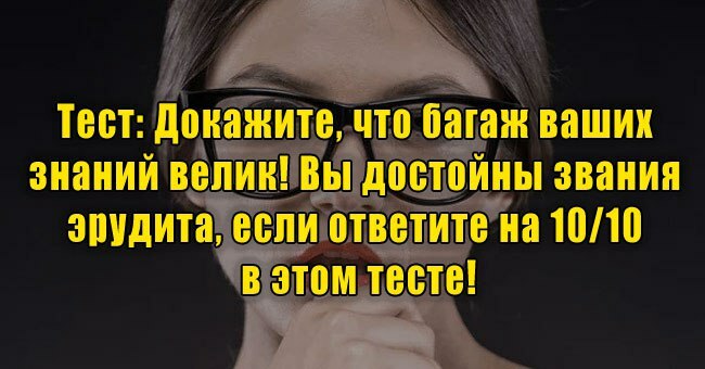 Докажите, что багаж ваших знаний велик! Вы достойны звания эрудита, если ответите на 10/10 в этом тесте!