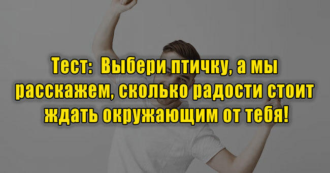 Выбери птичку, а мы расскажем, сколько радости стоит ждать окружающим от тебя!