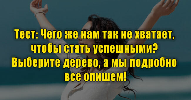 Чего же нам так не хватает, чтобы стать успешными? Выберите дерево, а мы подробно все опишем!