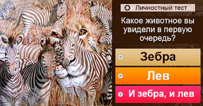 То, какое животное бросилось в глаза первым, растолкует ваши взгляды на жизнь!