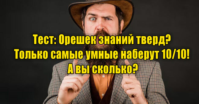 Орешек знаний тверд? Только самые умные наберут 10/10! А вы сколько?
