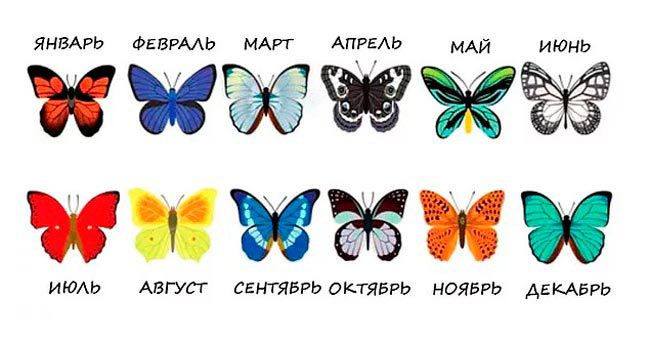 Что раскроет о вас бабочка месяца вашего рождения?