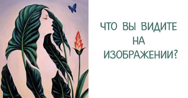 Что вы видите на изображении?