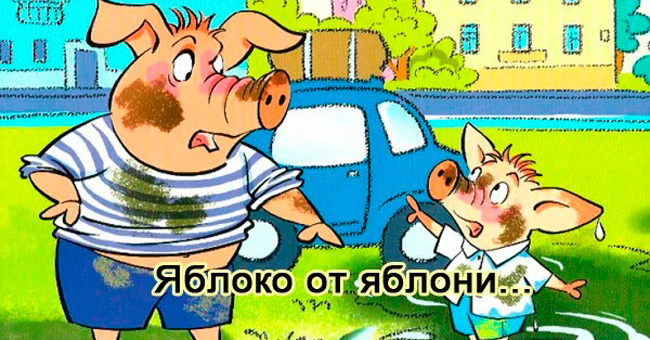 Сумеете правильно закончить 7 русских пословиц?