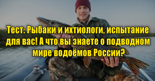Рыбаки и ихтиологи, испытание для вас! А что вы знаете о подводном мире водоёмов России?