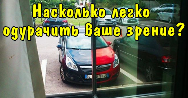 Насколько легко одурачить ваше зрение?