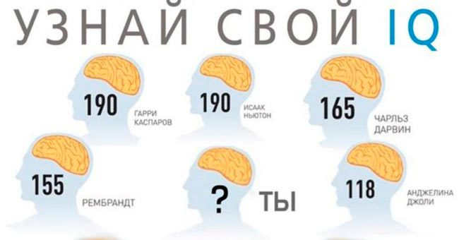 Определить iq по фото