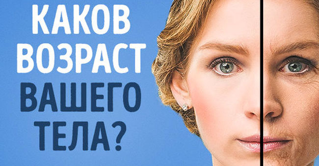 Каков возраст Вашего тела?
