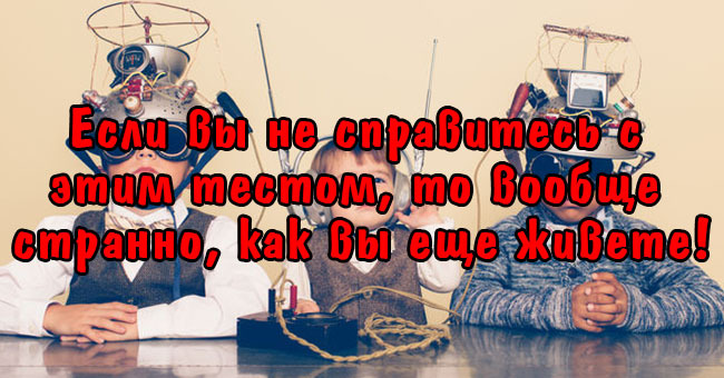 Если вы не справитесь с этим тестом, то вообще странно, как вы еще живете!