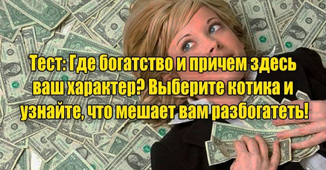 Где богатство и причем здесь ваш характер? Выберите котика и узнайте, что мешает вам разбогатеть!