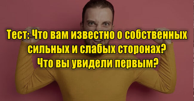 Что вам известно о собственных сильных и слабых сторонах? Что вы увидели первым?