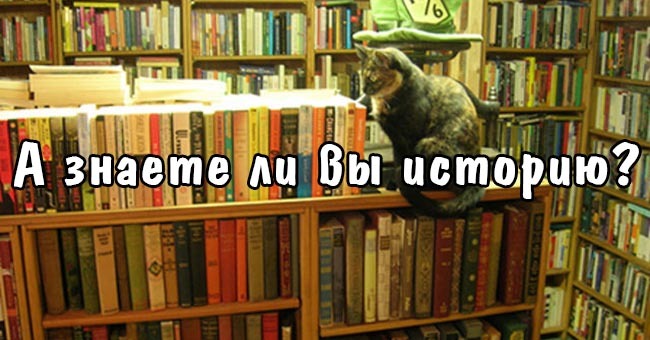 А знаете ли вы историю?