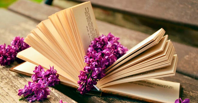 Квест на начитанность покажет, с каким количеством книг вы знакомы