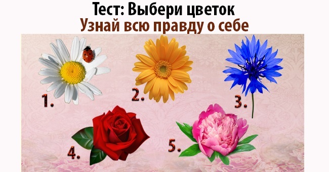 А каким цветком вы являетесь?