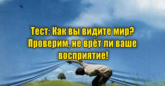 Как вы видите мир? Проверим, не врёт ли ваше восприятие!   