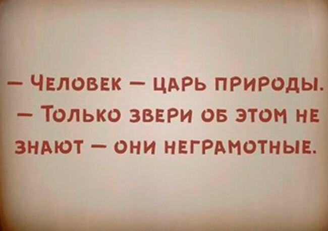 Угадайте в каком мультфильме прозвучала эта фраза?