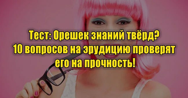 Орешек знаний твёрд? 10 вопросов на эрудицию проверят его на прочность!