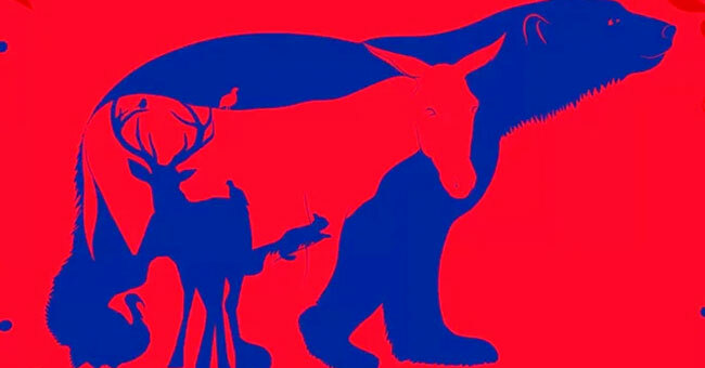 То, что вы увидели первым, многое о вас расскажет