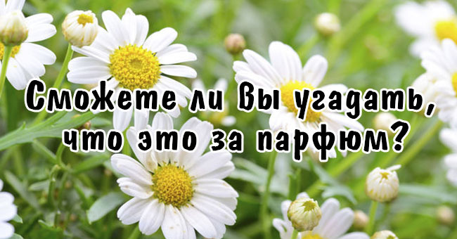 Сможете ли вы угадать, что это за парфюм?