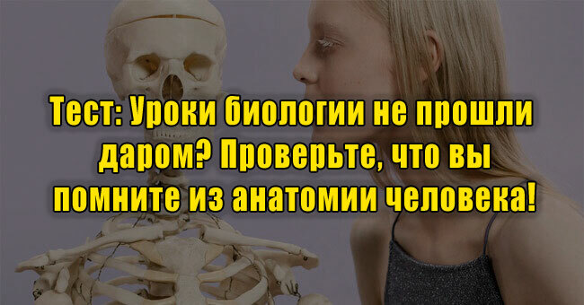 Уроки биологии не прошли даром? Проверьте, что вы помните из анатомии человека!