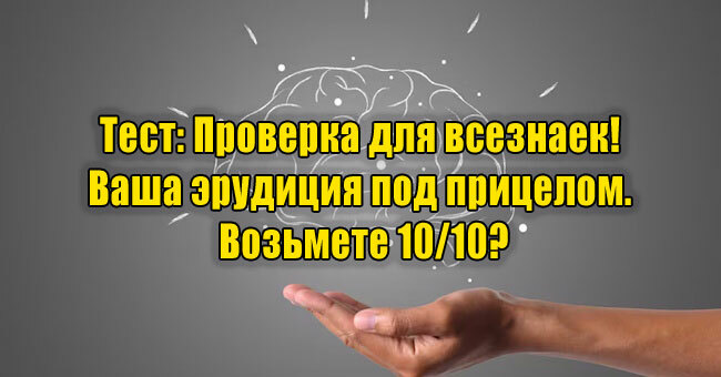 Проверка для всезнаек! Ваша эрудиция под прицелом. Возьмете 10/10?