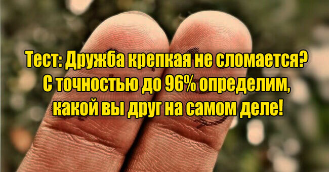 Дружба крепкая не сломается? С точностью до 96% определим, какой вы друг на самом деле!