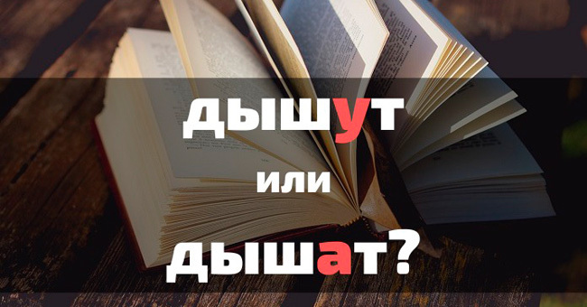 На какую оценку вы знаете русский язык?