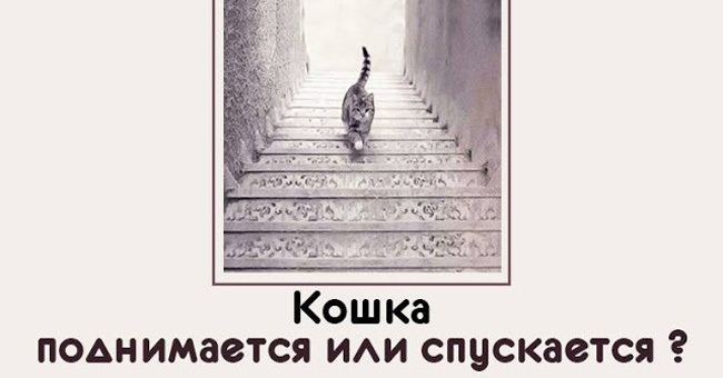 Ваш ответ расскажет о вашей личности