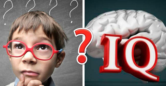 Тест на эрудицию: Вашим IQ можно пробить потолок, если вам удастся ответить на 12 из 14 вопросов