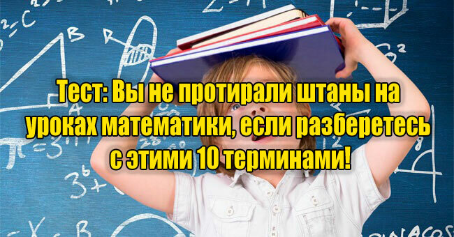 Вы не протирали штаны на уроках математики, если разберетесь с этими 10 терминами!